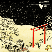 A Slightly Askew Observation