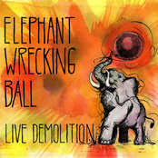 Strutty The Elephant by Elephant Wrecking Ball