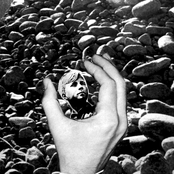 Drowned In The Brain' Swill