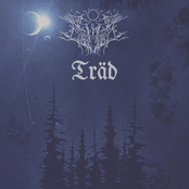 Time Unveiled / Träd