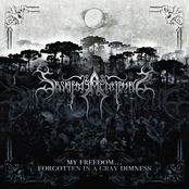 My Freedom… Forgotten in a Gray Dimness