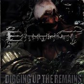 Digging Up The Remains