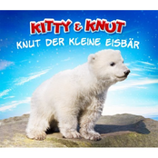 kitty & knut