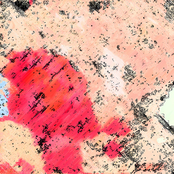 Ritualistically Self-Eviscerated During High on Crystal Meth