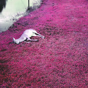 Born and Raised in the Dirt