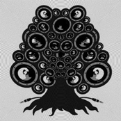 Love Songs In Advance of the Landing