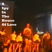 A Spy in the House of Love