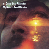 Music Is Love by David Crosby