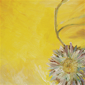 Draw A Smile Split EP w/ Smol