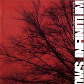 Shadows Infinitum