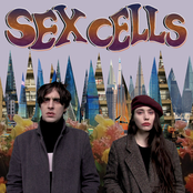 Sex Cells: Are You Ready / Hell Is Where The Heart Is