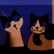 Gato