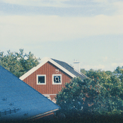 Orchid Mantis: i only remember the good parts