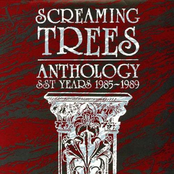 Other Days And Different Planets by Screaming Trees