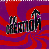United by The Creation