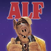 ALF