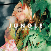 JUNGLE