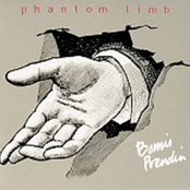 Phantom Limb by Bomis Prendin