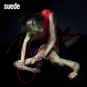 Always by Suede