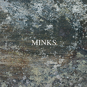 Boys Run Wild by Minks