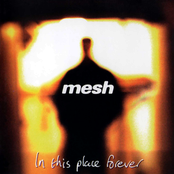 Mesh: In This Place Forever