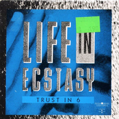 Life In Ecstasy