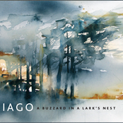 A Buzzard in a Lark's Nest