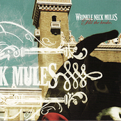 Put Your Guitars Where Your Mouth Is by Wrinkle Neck Mules