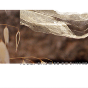 Lets the sun drag itself out in a long ray (monotype records)