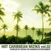 Hot Caribbean Miziks Vol.02 Album Picture