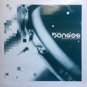 Bring Back The Bongos / The Slice