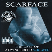 In And Out by Scarface