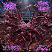 Bradi Cerebri Ectomia / Methadone Abortion Clinic / Septicopyemia / Fecal Body Incorporated