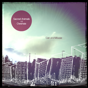 Sacred Animals vs Owensie