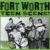 Fort Worth Teen Scene!, Vol. 3