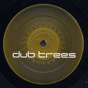 Buffalo & Return To The Native