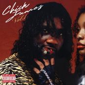 Chicken P: Chick James, Vol. 1
