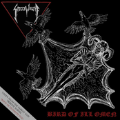 Bird of Ill Omen