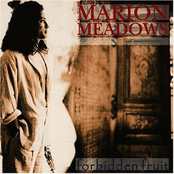 Nocturnal Serenade by Marion Meadows