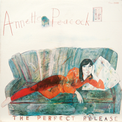 Annette Peacock: The Perfect Release