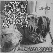 Demo 2003