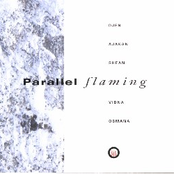 Parallel Flaming by Vidna Obmana & Djen Ajakan Shean