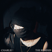THE REMIXES (Remixes)