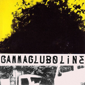 Live At The Paradiso