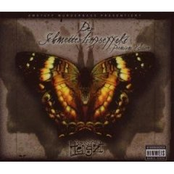 Schmetterlingseffekt