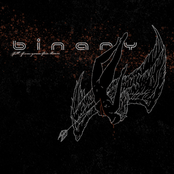 Fall From Grace Face Down