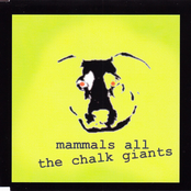Mammals All
