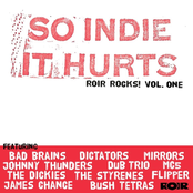 So Indie It Hurts: ROIR Rocks Volume One