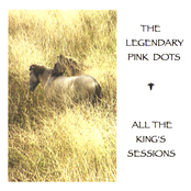 Dark Entry by The Legendary Pink Dots