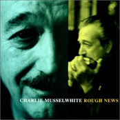 Sleepwalk by Charlie Musselwhite